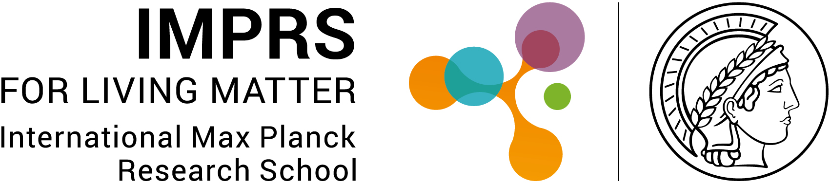 IMPRS Logo
